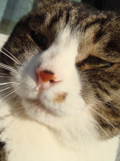 ちびちび　１１１３