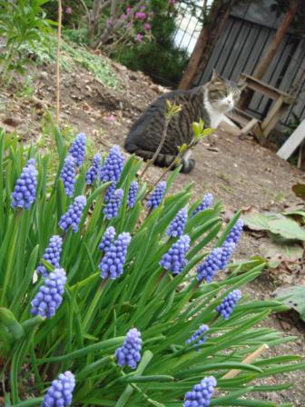 ちびちび　１１３１