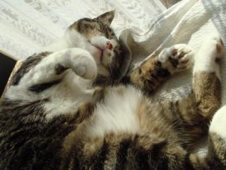 ちびちび　１０１０