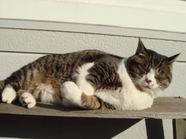 ちびちび　１０９０