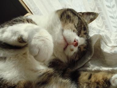 ちびちび　１０１１