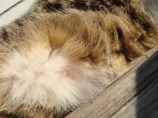 ちびちび　１０９１