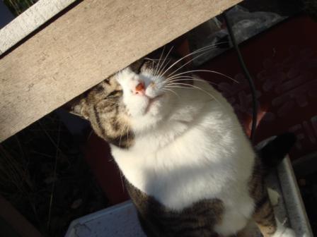 ちびちび　１０８９