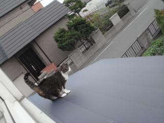 ちびちび　１０３１