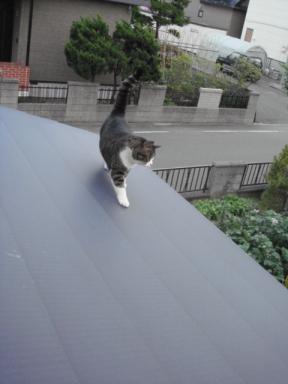 ちびちび　１０３２