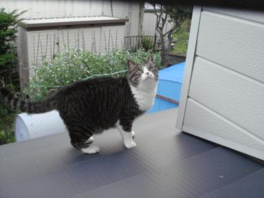 ちびちび　１０３４