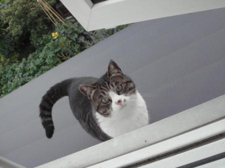 ちびちび　１０３５