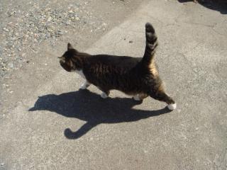 ちびちび　１１２７