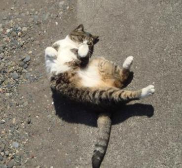 ちびちび　１１２８