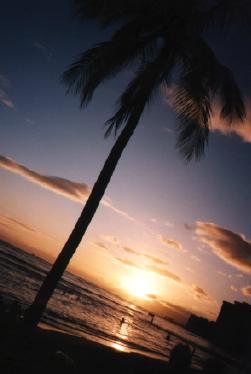 Hawaii 5