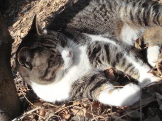 ちびちび　１１２６