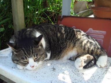 ちびちび　１１３９