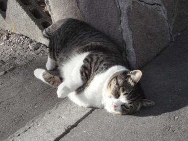 ちびちび　９９５