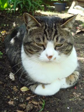 ちびちび　１０２８