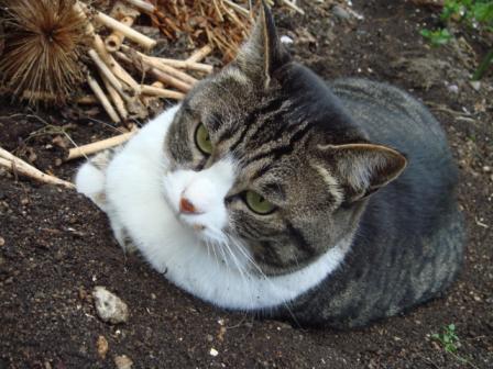 ちびちび　１０６９