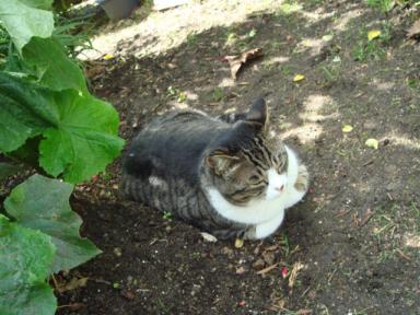 ちびちび　１０２９