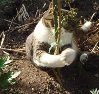 ちびちび　１０７４