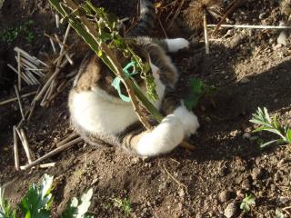 ちびちび　１０７３