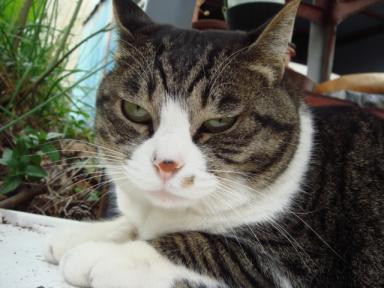 ちびちび　１０７５