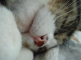 ちびちび　１０３０