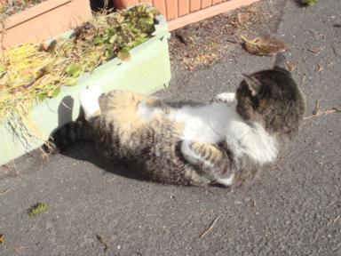 ちびちび　１０９３