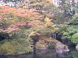 定義山の紅葉