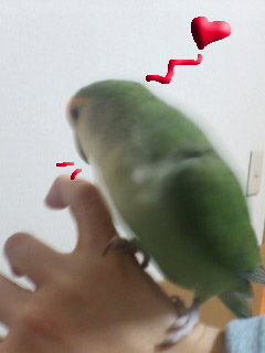 20060206210036.jpg