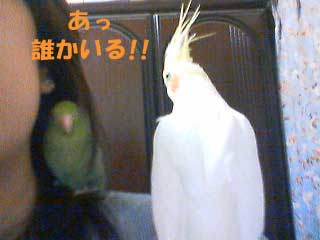 000豆苗-5.jpg