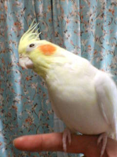 20060201222309.jpg