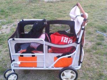 20070406175936.jpg