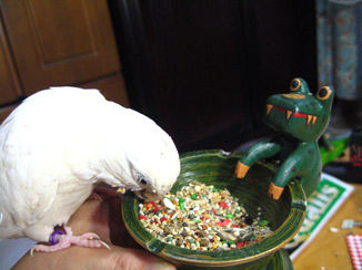 IMG_1354.jpg