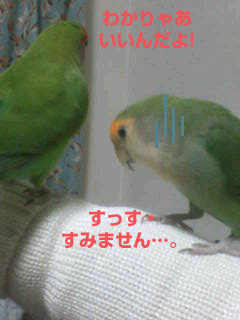 20060209090149.jpg