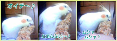 もう夢中♪.jpg