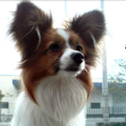 くらのすけちゃん-3