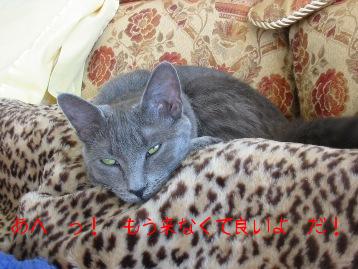 あ～疲れたよ！