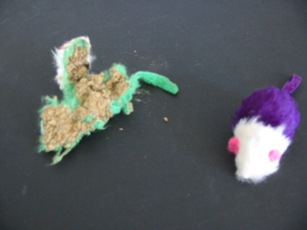 破壊されたねずみ