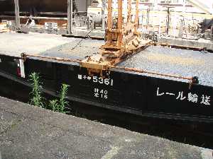 チキ大