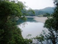 しまんと80キロ