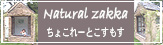 ちょこれーとこすもす