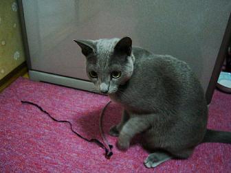 2005-12-10 08:03:24
