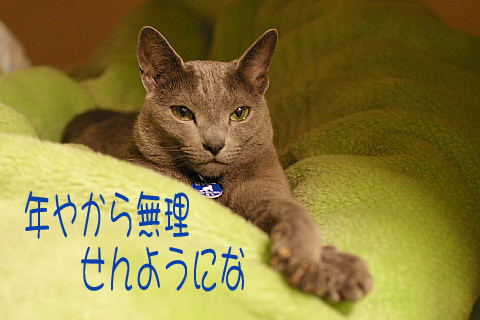 200703110004.jpg