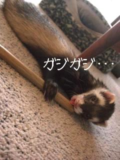 バンド４