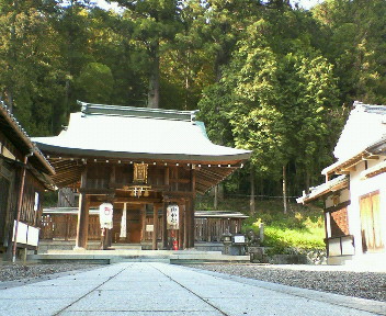 神社の後ろには高い杉の木が・・