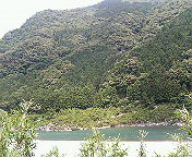 200606071256000.jpg