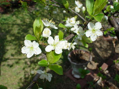 DSC01698.JPG