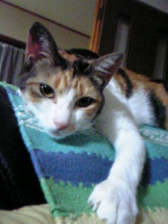 DVC00031.JPG