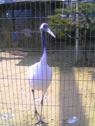 ３月５日　西山動物園２