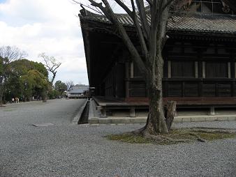 三十三間堂8