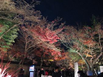 嵐山201112-2