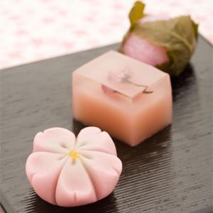 春の京・手作り創作生菓子 「桜づくし」